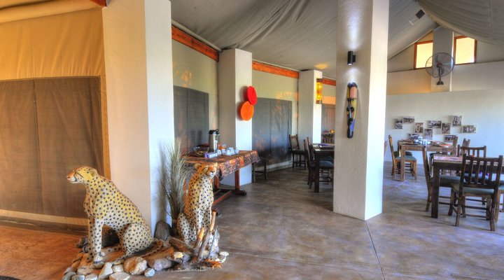 Cheetah Paw Eco Lodge