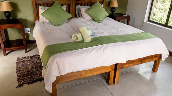 Cheetah Paw Eco Lodge