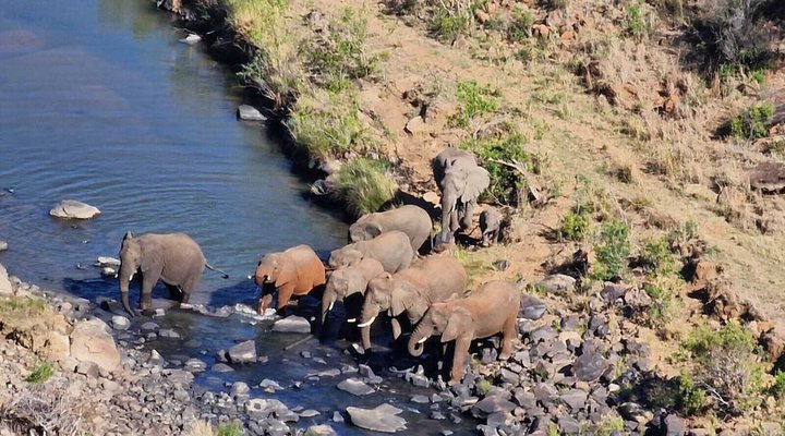 Esiweni Luxury Safari Lodge