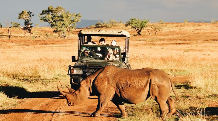 Esiweni Luxury Safari Lodge