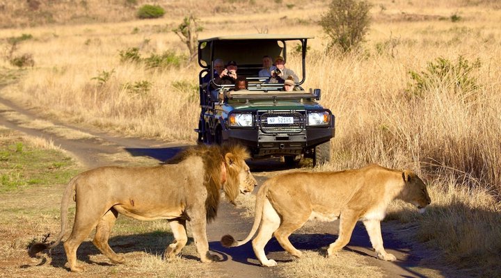 Esiweni Luxury Safari Lodge