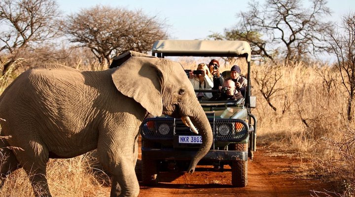 Esiweni Luxury Safari Lodge