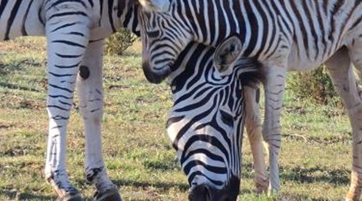 Indalu Game Reserve
