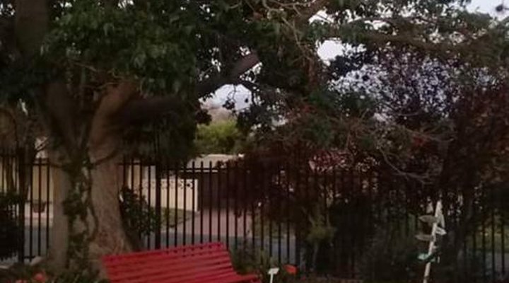 Coral Tree Guest Rooms