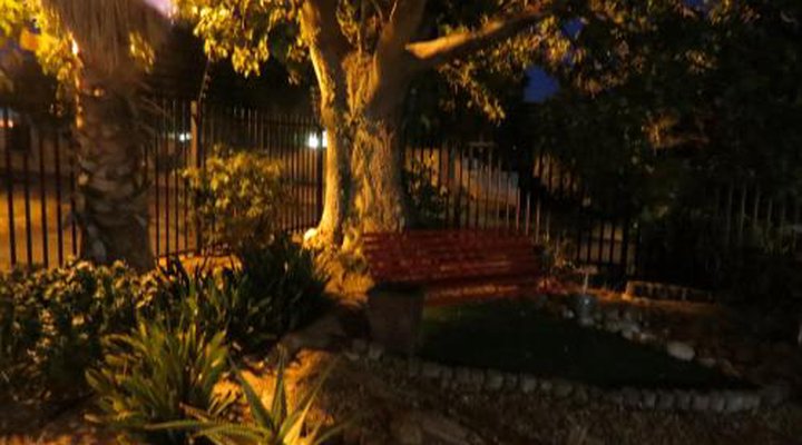 Coral Tree Guest Rooms