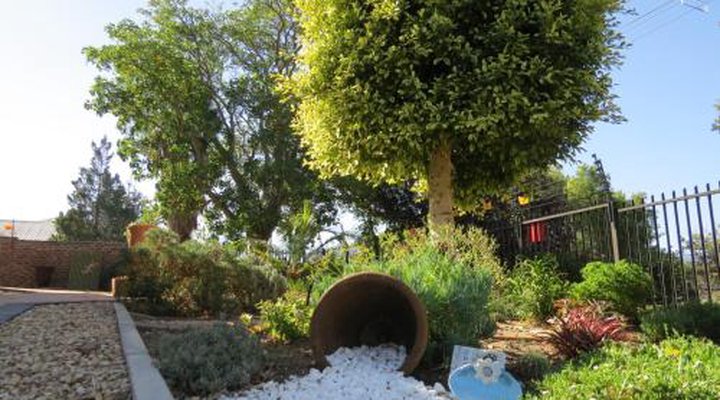 Coral Tree Guest Rooms