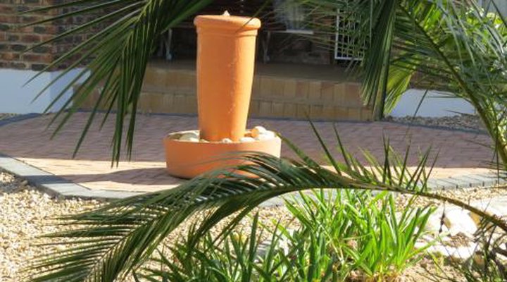 Coral Tree Guest Rooms
