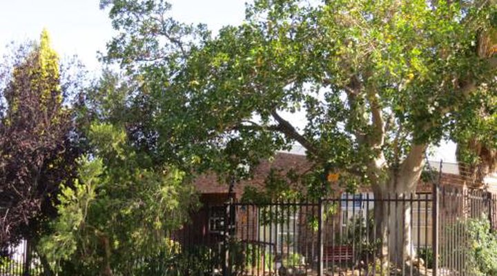 Coral Tree Guest Rooms