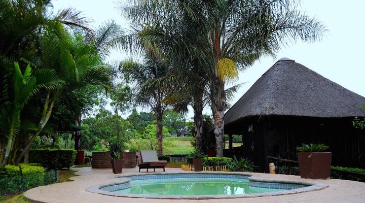 Palmwag Tzaneen