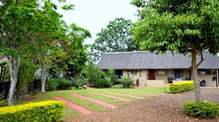 Palmwag Tzaneen