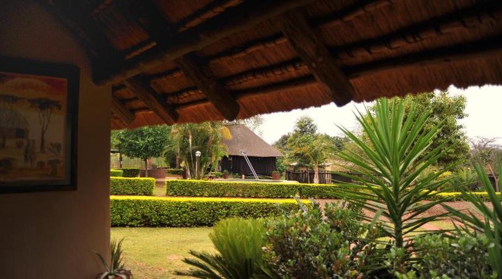 Palmwag Tzaneen