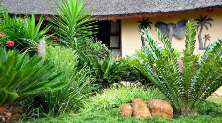 Palmwag Tzaneen