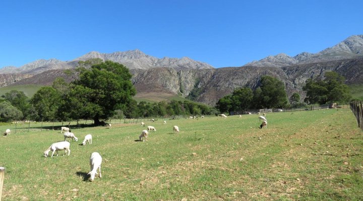 Swartberg Backpackers