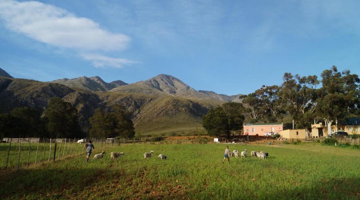 Swartberg Backpackers