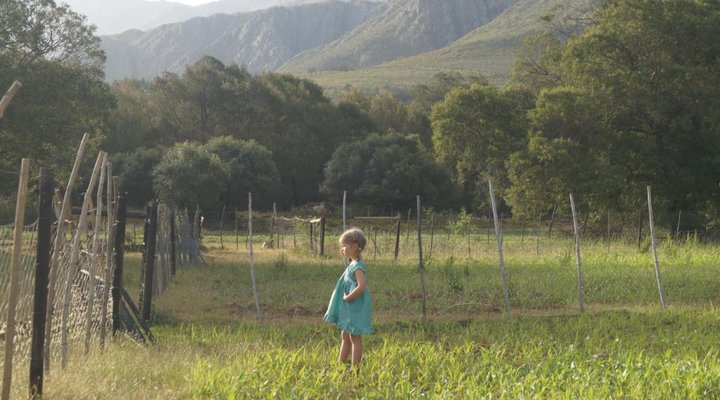 Swartberg Backpackers