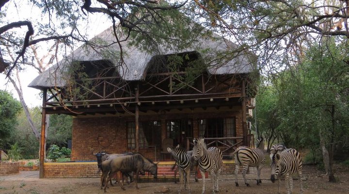 Rafiki's Resthouse