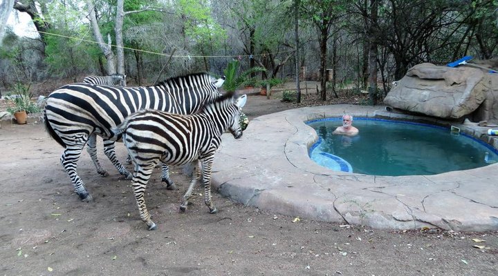 Rafiki's Resthouse