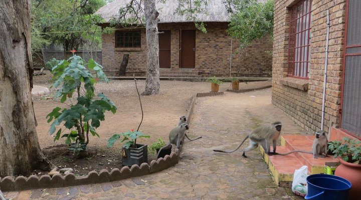 Rafiki's Resthouse