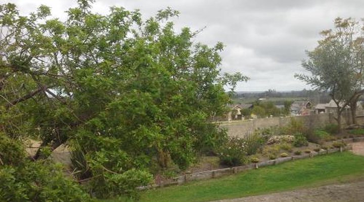 Maitland Meander