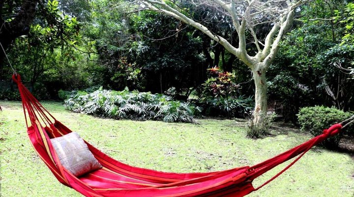 Barefoot B&B