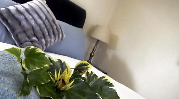Zamar Guest House