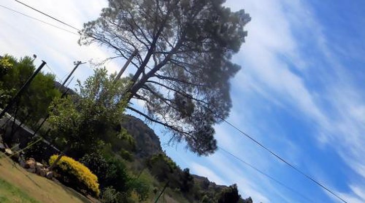 Zamar Guest House