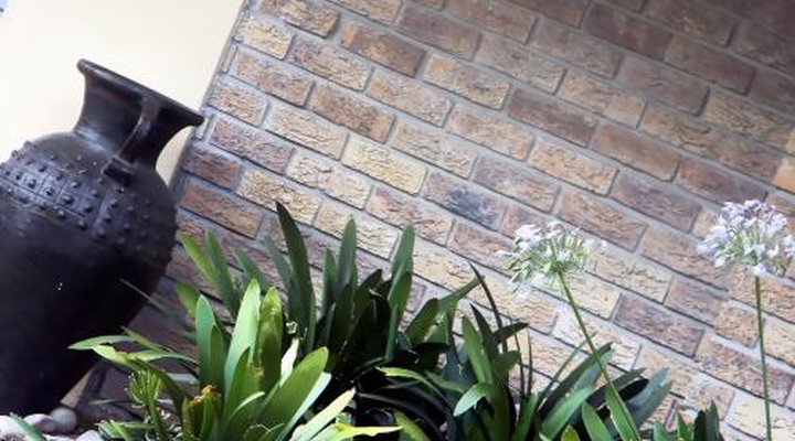 Zamar Guest House