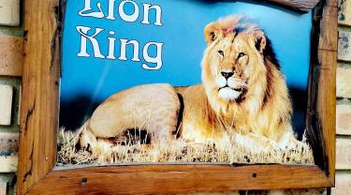 Lion King