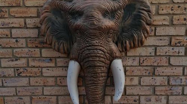 Kettle Guest Lodge Rustenburg