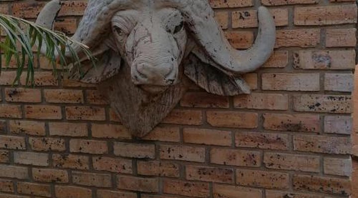 Kettle Guest Lodge Rustenburg