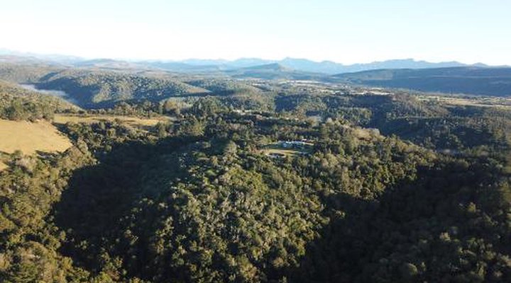 Green Hills Forest Lodge