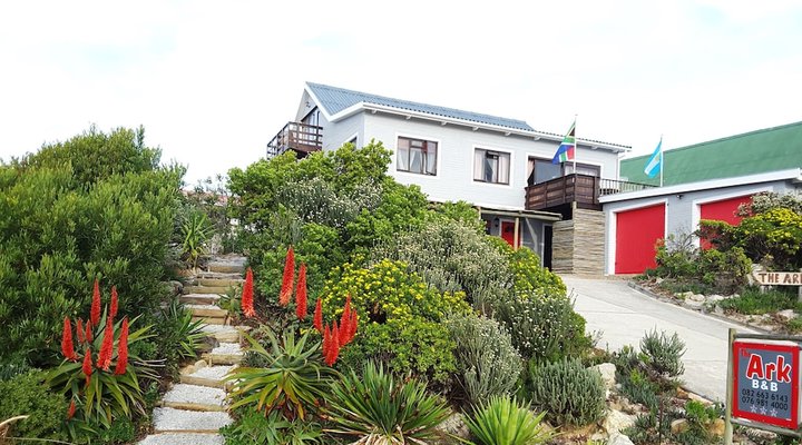 The Ark B & B