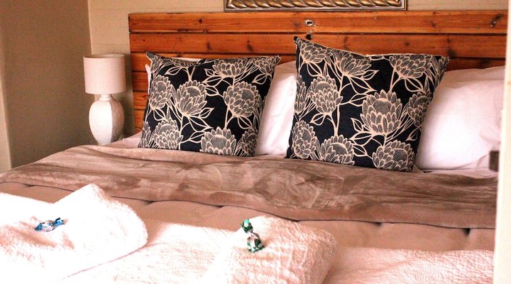 The Ark B & B