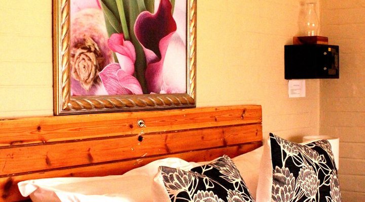The Ark B & B