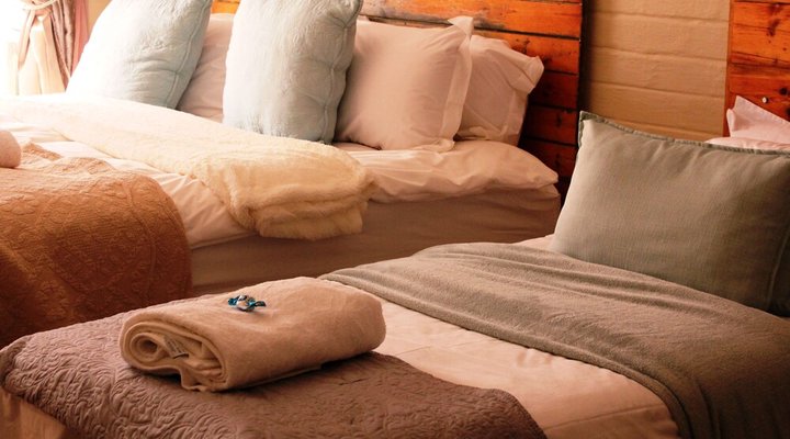 The Ark B & B