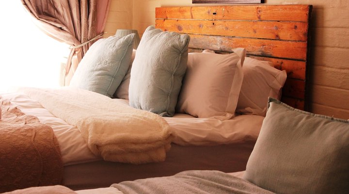 The Ark B & B