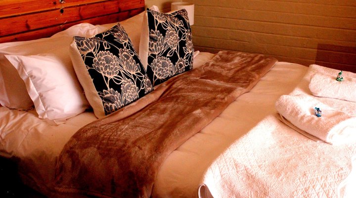 The Ark B & B