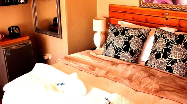 The Ark B & B