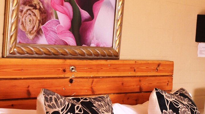 The Ark B & B