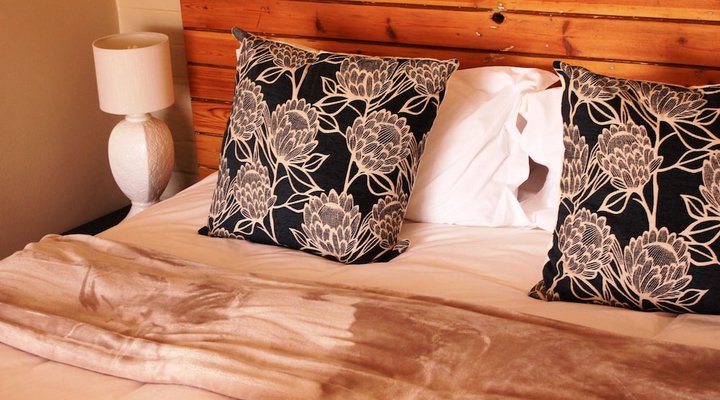 The Ark B & B