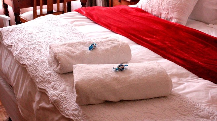 The Ark B & B