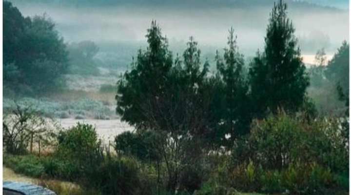 Woodcutters Guest House & Cottage