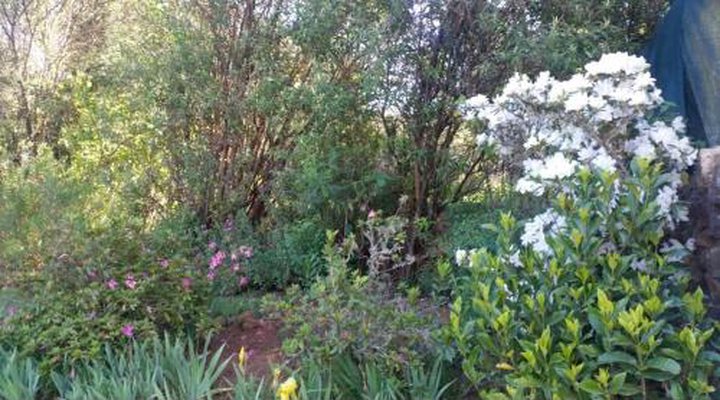 Woodcutters Guest House & Cottage