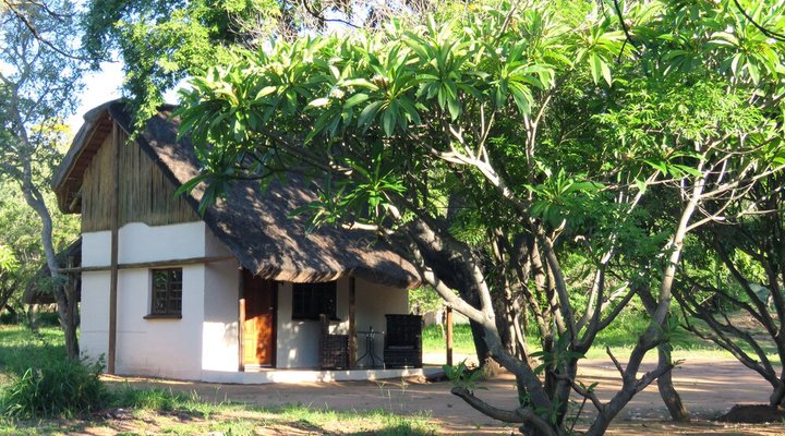 Wild Dogs Safari Lodge