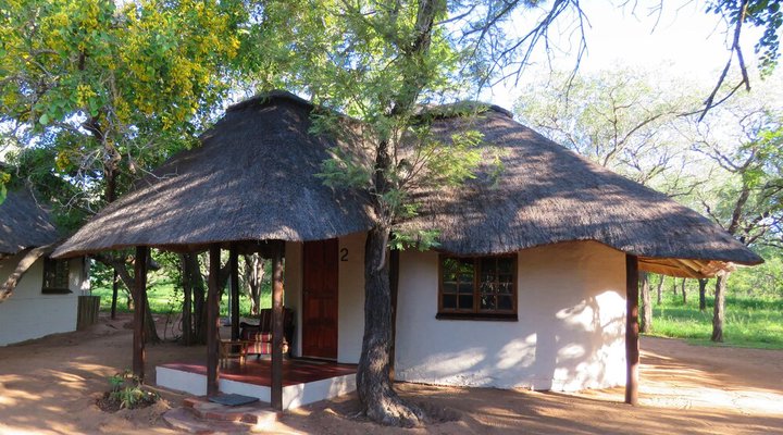 Wild Dogs Safari Lodge