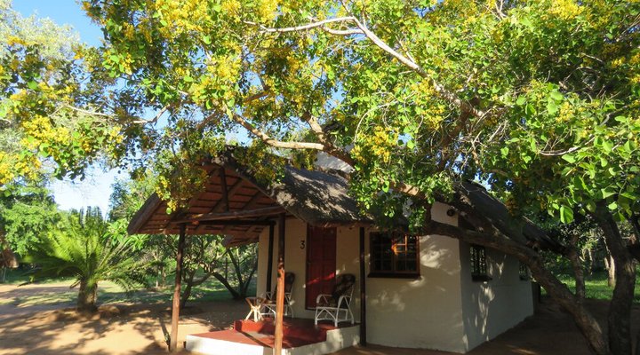 Wild Dogs Safari Lodge