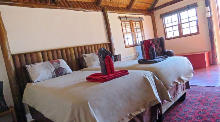 Wild Dogs Safari Lodge