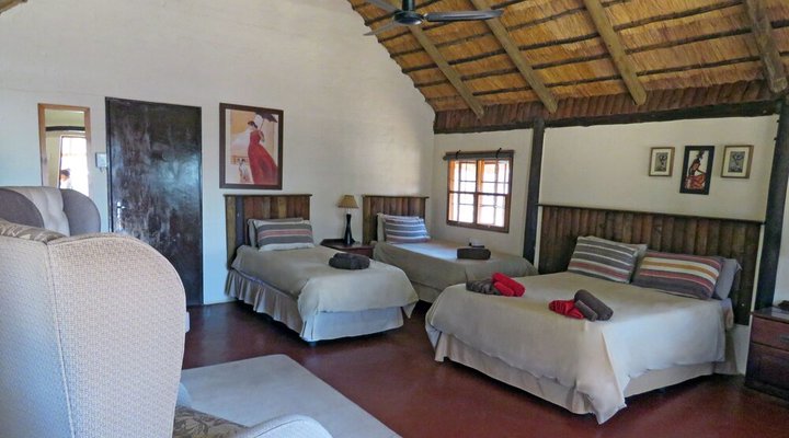 Wild Dogs Safari Lodge