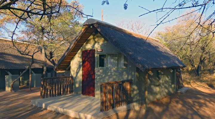 Wild Dogs Safari Lodge