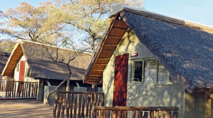 Wild Dogs Safari Lodge